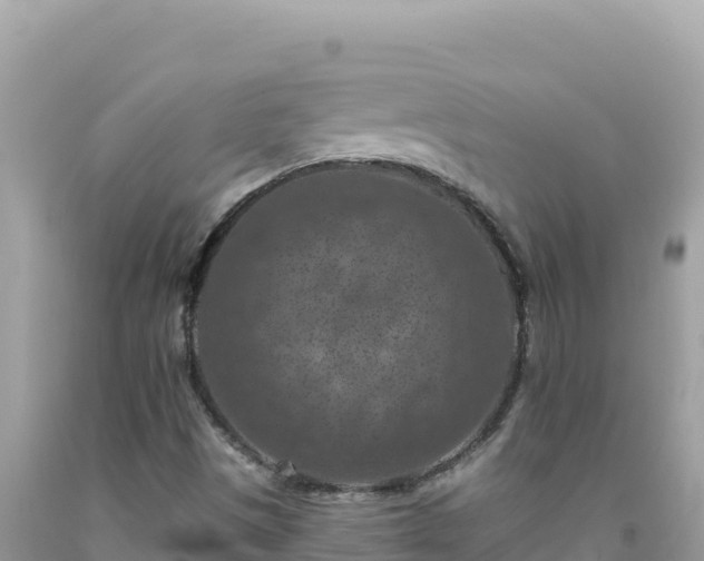 X0000092031497200709131608