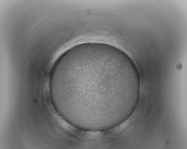 X0000092031498200709131608