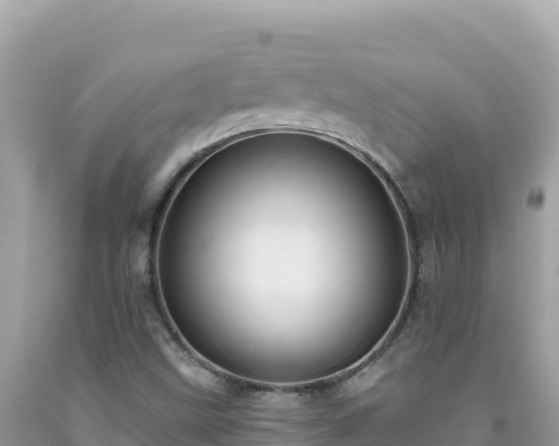 X0000092031499200709131608