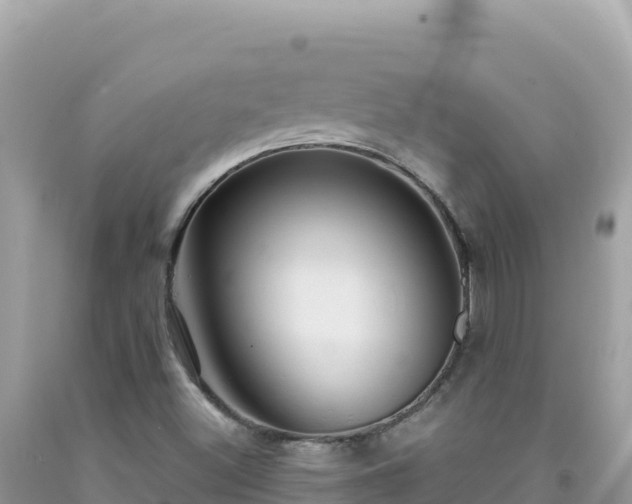 X0000092031500200709131608
