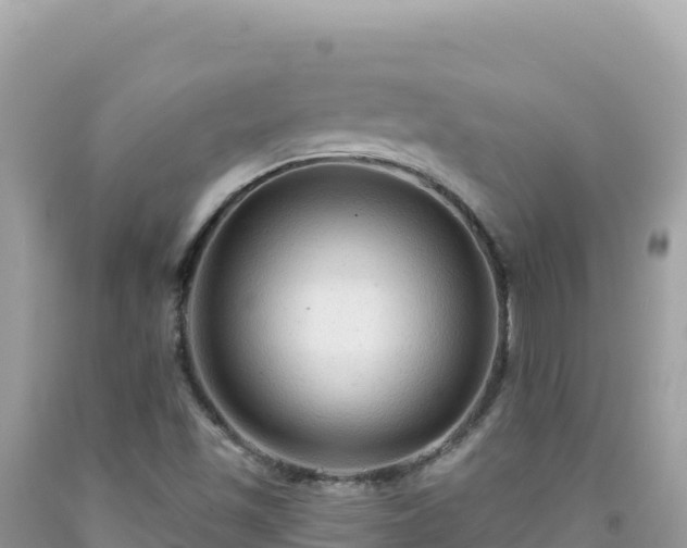 X0000092031501200709131608