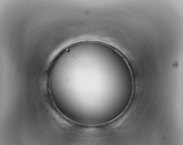 X0000092031502200709131608