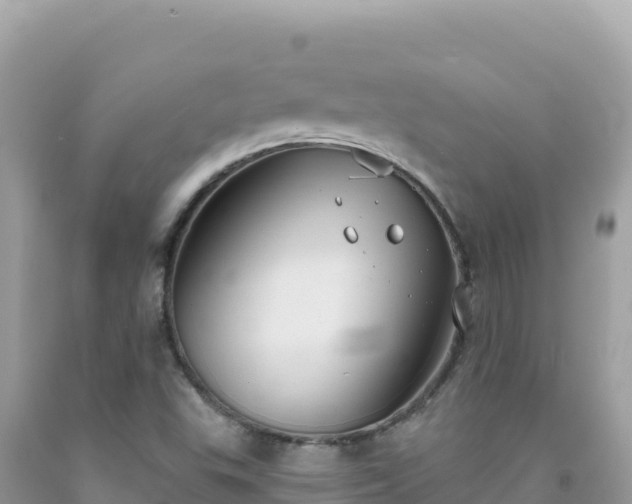 X0000092031503200709131608