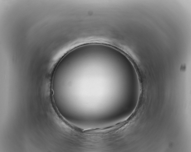 X0000092031504200709131608
