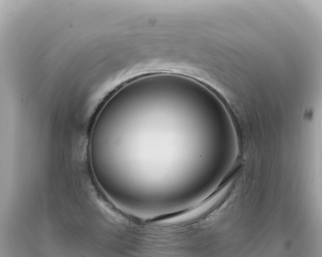 X0000092031507200709131608