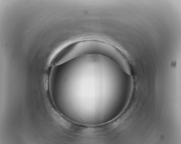 X0000092031510200709131608