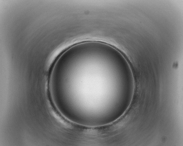 X0000092031511200709131608