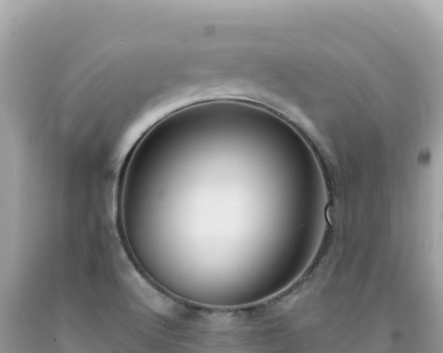 X0000092031512200709131608