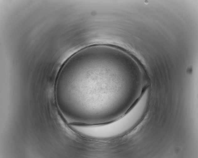 X0000092031513200709131608