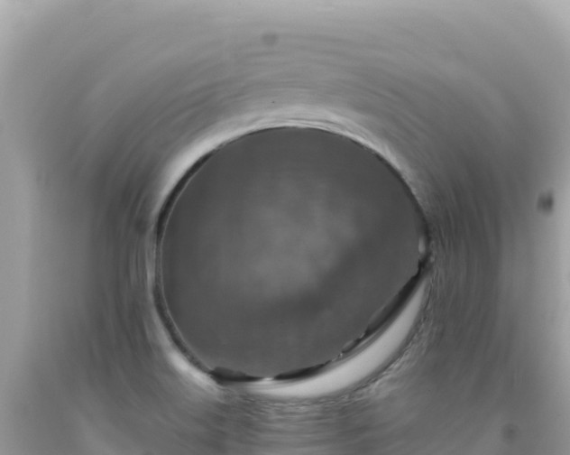 X0000092031515200709131608