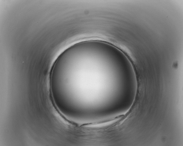 X0000092031516200709131608