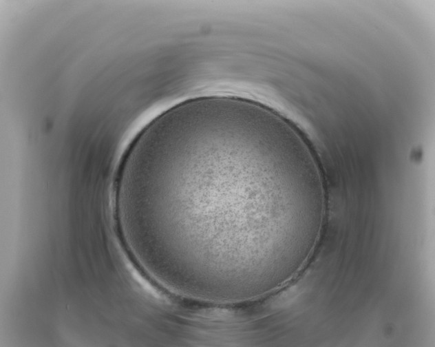 X0000092031517200709131608