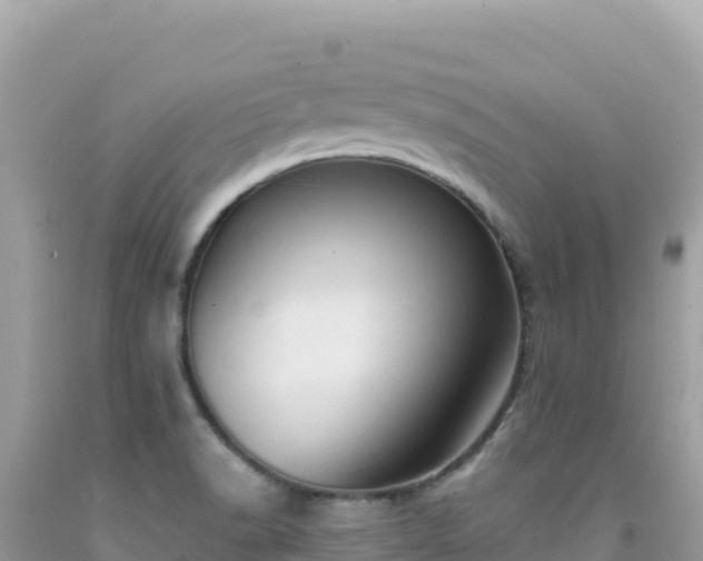 X0000092031518200709131608