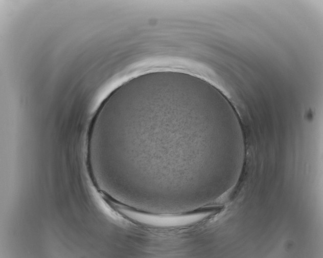 X0000092031523200709131608