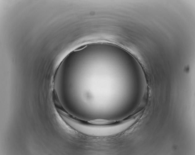 X0000092031524200709131608