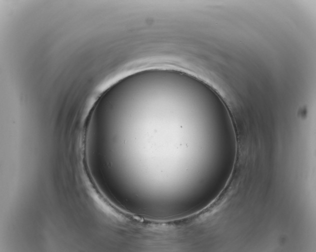X0000092031526200709131608