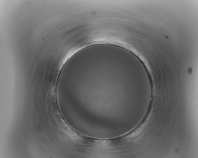 X0000092031529200709131608