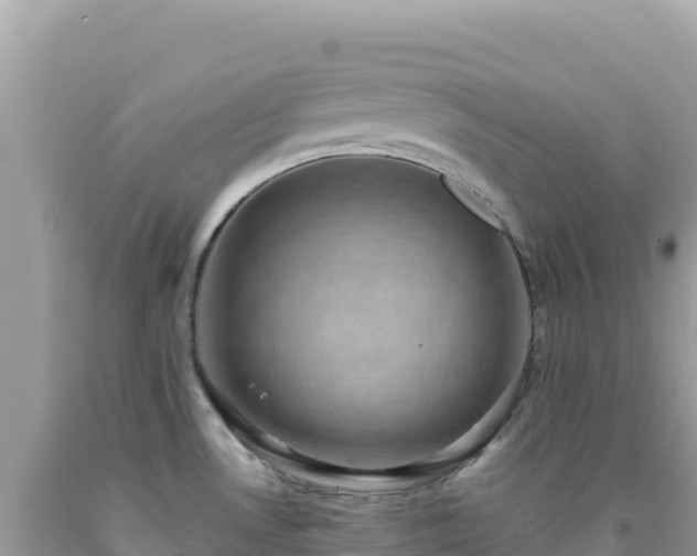 X0000092031530200709131608