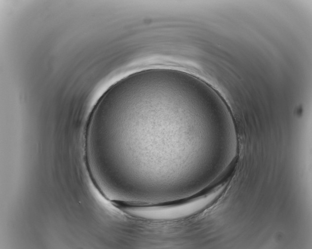 X0000092031531200709131608