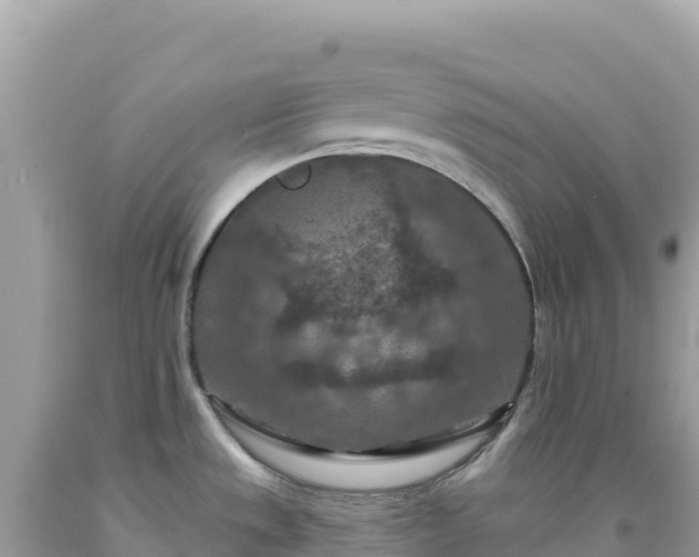 X0000092031533200709131608