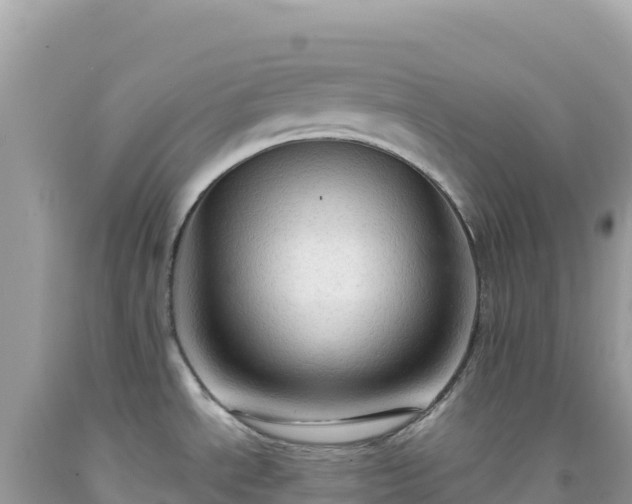 X0000092031534200709131608