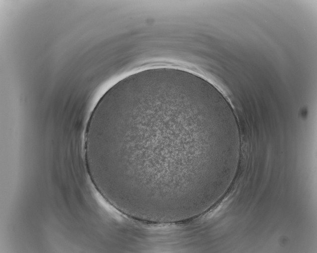 X0000092031535200709131608
