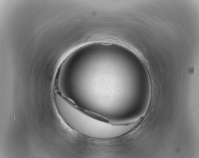 X0000092031536200709131608