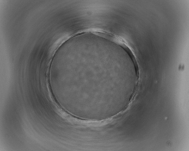 X0000092030001200709201621