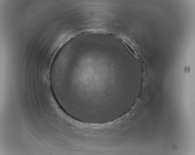 X0000092030002200709201621