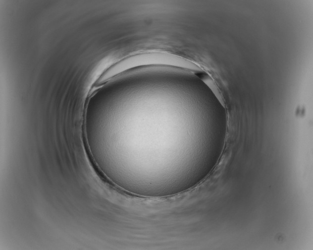 X0000092030003200709201621