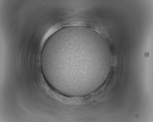 X0000092030004200709201621