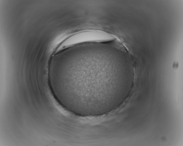 X0000092030005200709201621