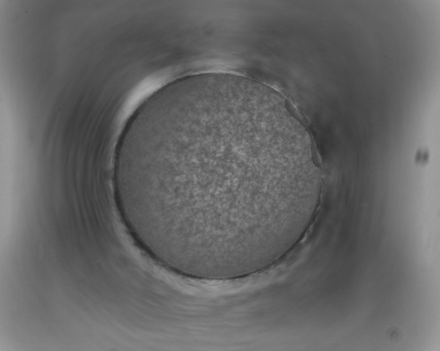 X0000092030006200709201621