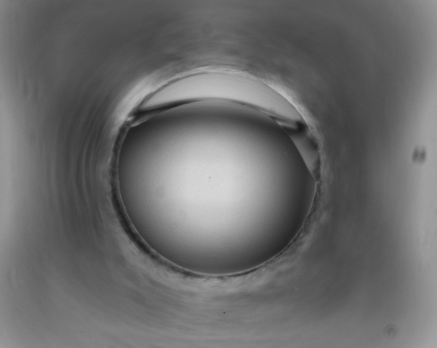 X0000092030007200709201621