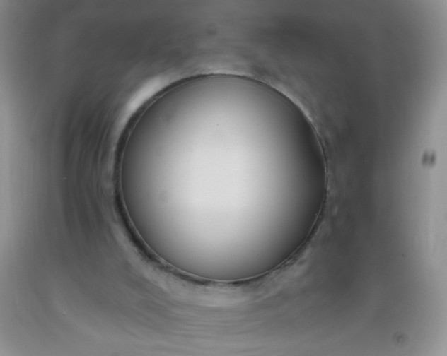 X0000092030008200709201621