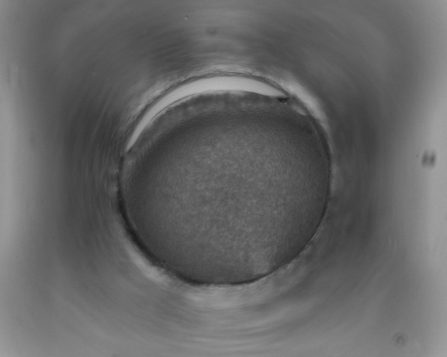 X0000092030009200709201621