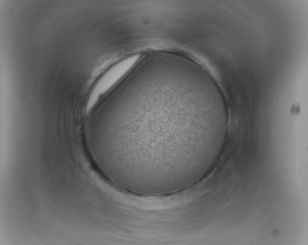 X0000092030010200709201621