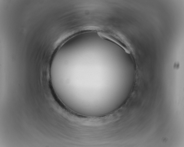 X0000092030011200709201621