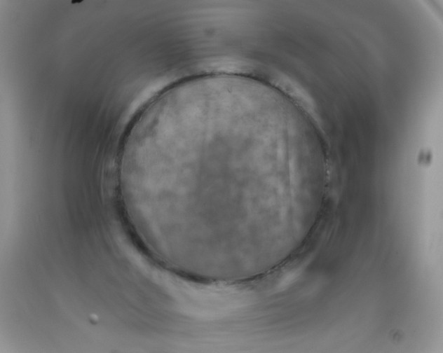 X0000092030012200709201621