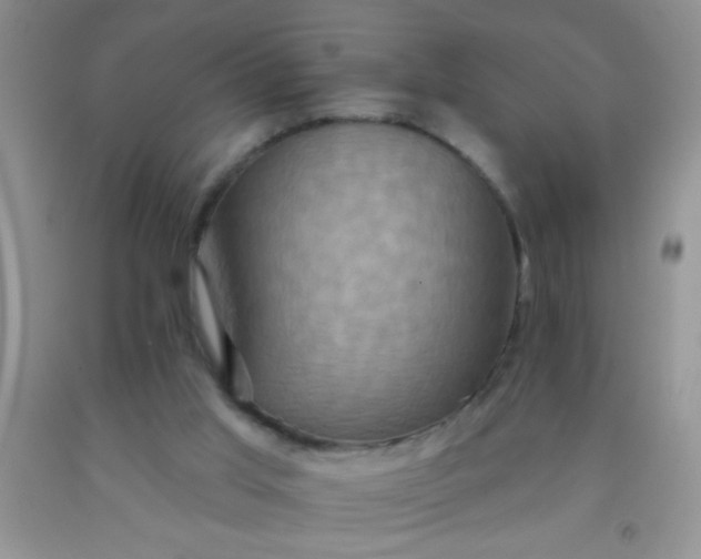 X0000092030013200709201621