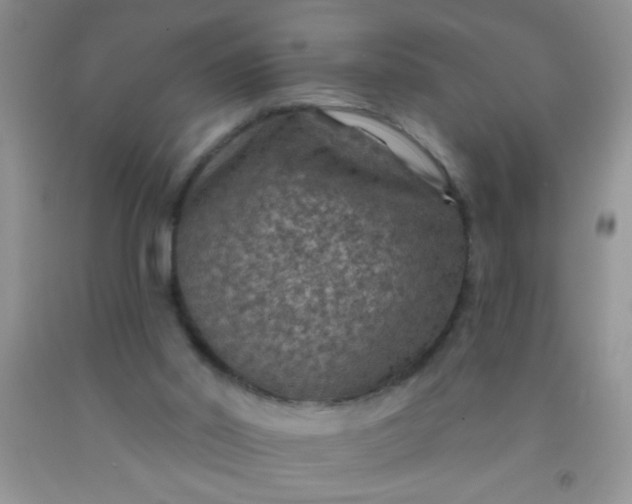 X0000092030014200709201621