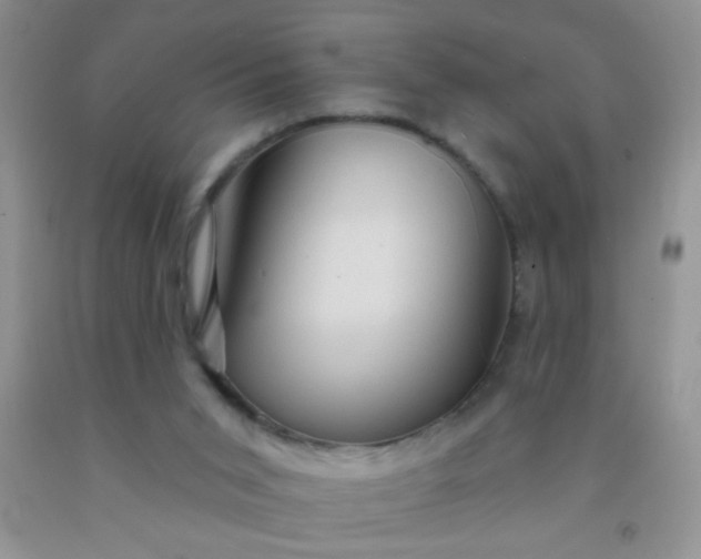 X0000092030015200709201621