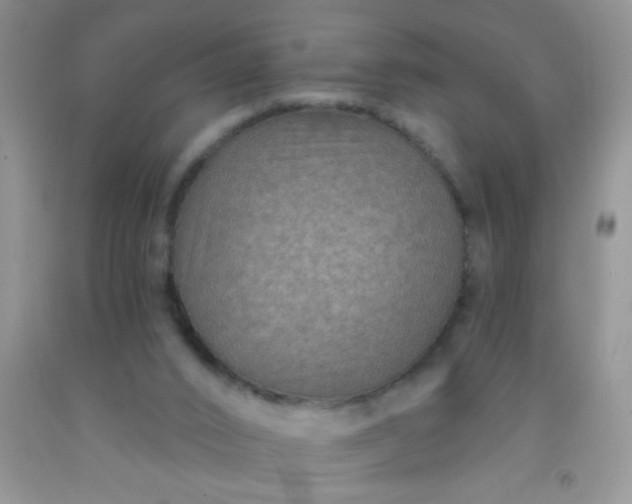 X0000092030016200709201621