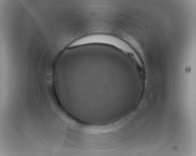 X0000092030017200709201621