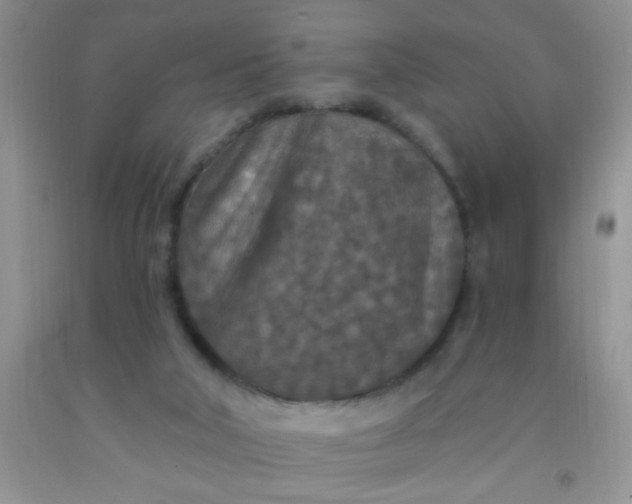 X0000092030018200709201621