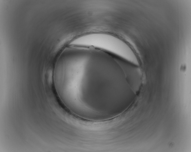 X0000092030019200709201621