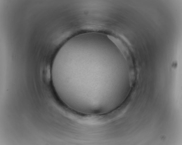 X0000092030020200709201621