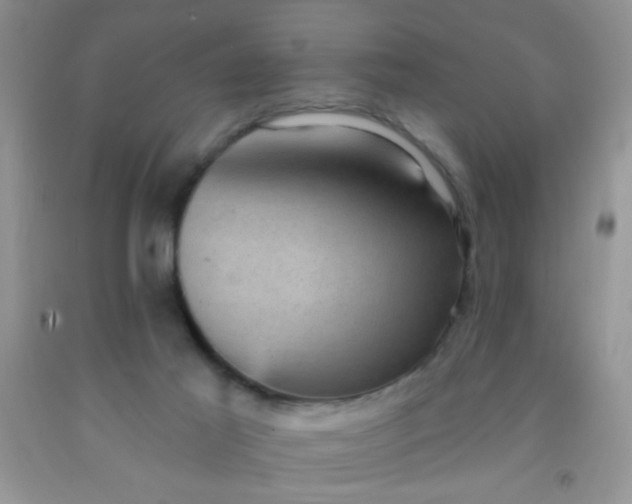 X0000092030021200709201621