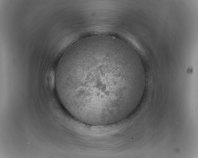 X0000092030022200709201621