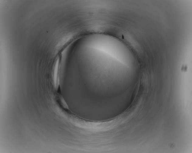 X0000092030023200709201621